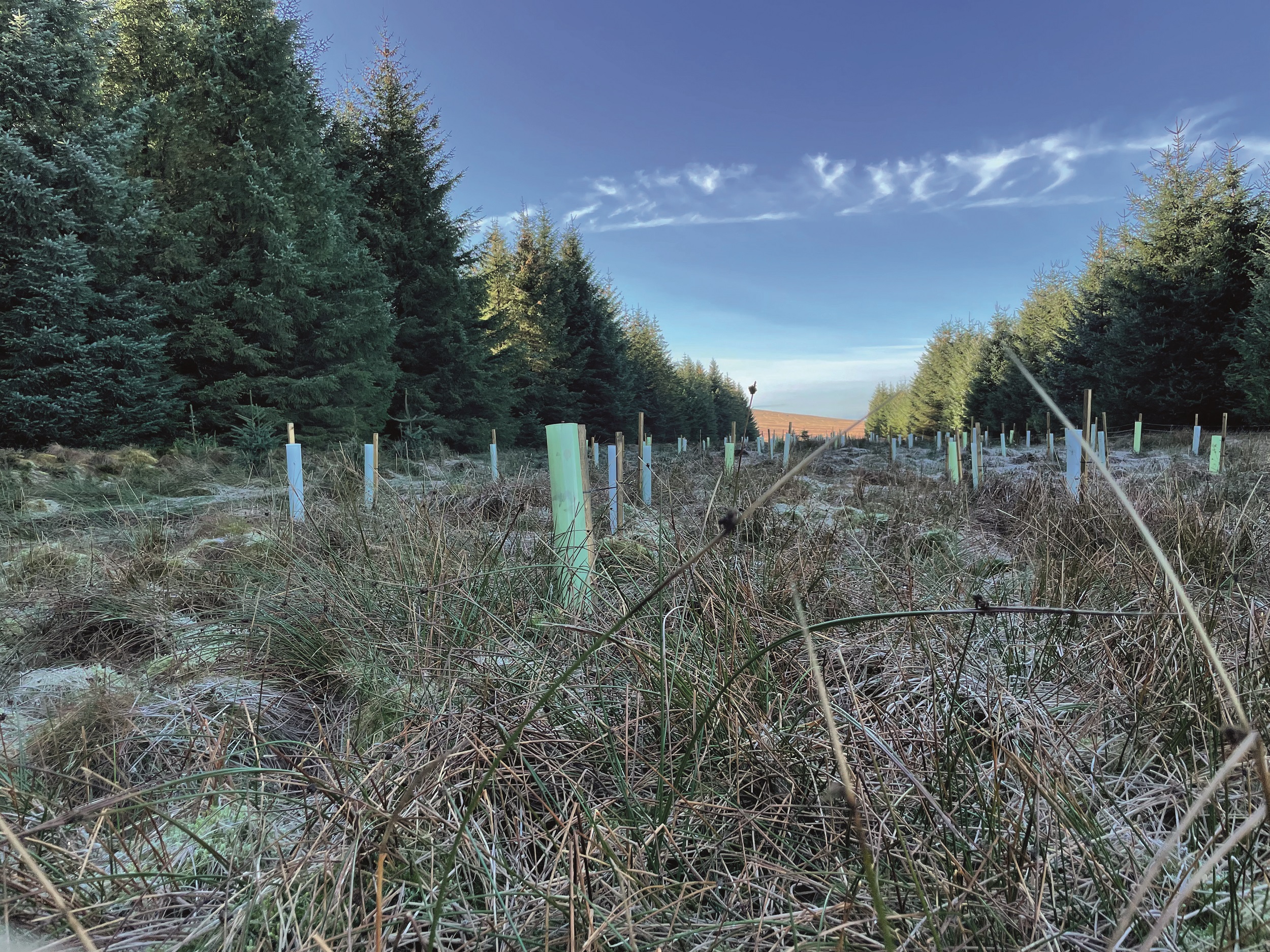 The OnPath promise to the environment