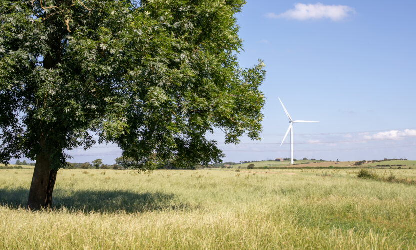 Featured image for Lethans Wind Farm