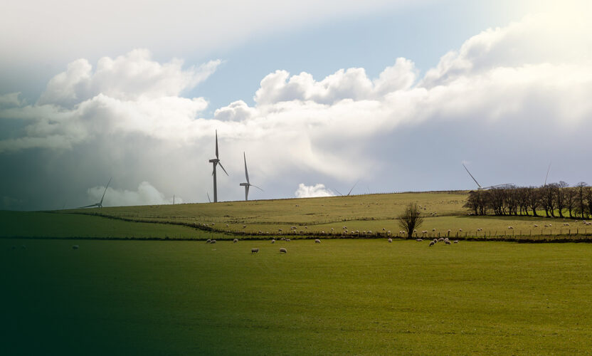 Featured image for Kype Muir Wind Farm