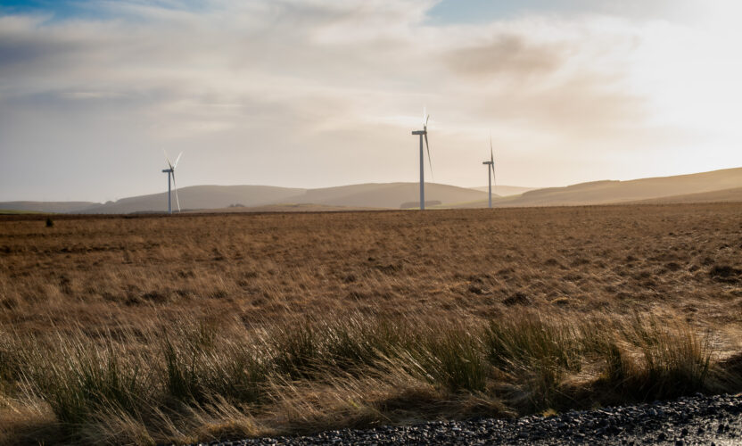 Featured image for Middle Muir Wind Farm
