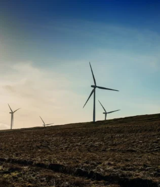 Featured image for Bodinglee Wind Farm