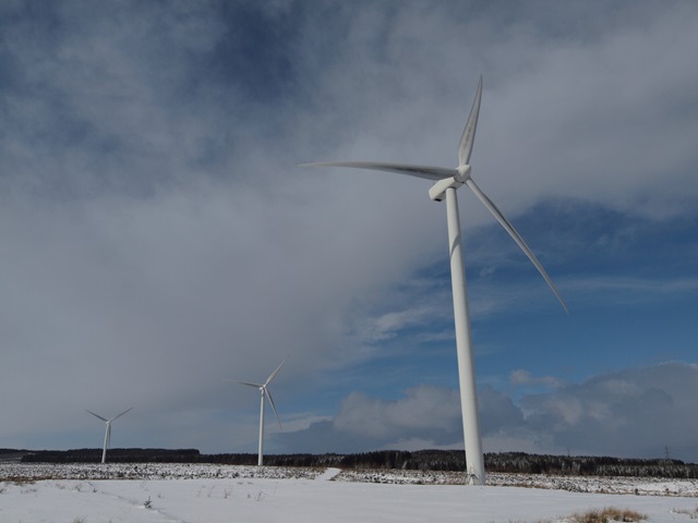 Featured image for Pates Hill Wind Farm
